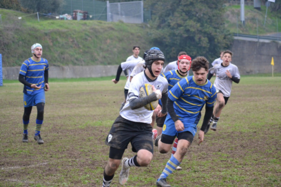 cava valdinievole 18reg